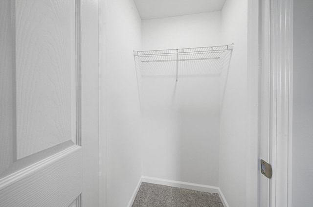 walk in closet with carpet flooring