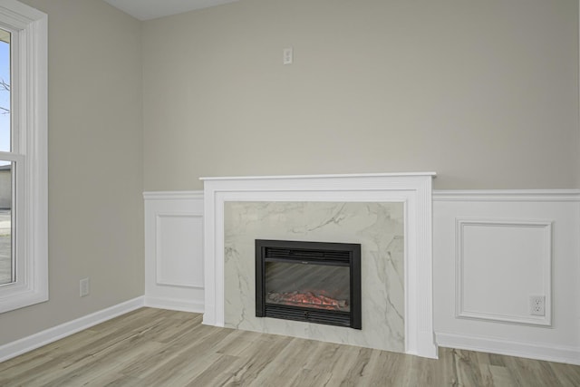 details with a wainscoted wall, a fireplace, a decorative wall, and wood finished floors