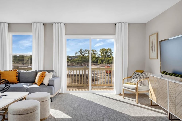 carpeted living area with a healthy amount of sunlight