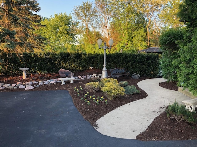 view of home's community with a patio