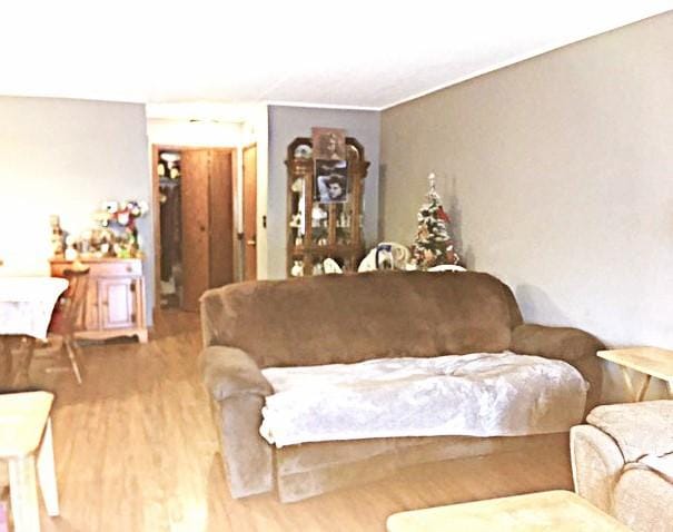 living area featuring light wood-style floors