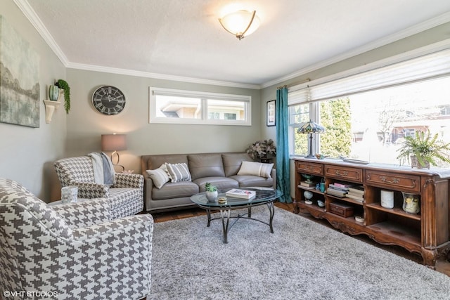 living room with ornamental molding and wood finished floors