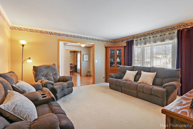 living room featuring light colored carpet