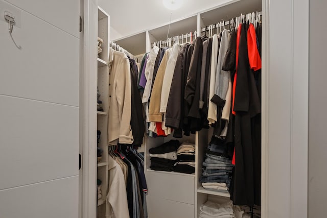 view of spacious closet