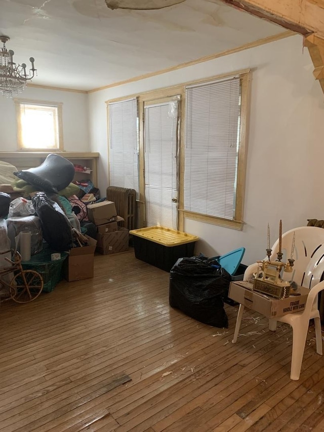 misc room featuring a notable chandelier, hardwood / wood-style floors, radiator heating unit, and crown molding