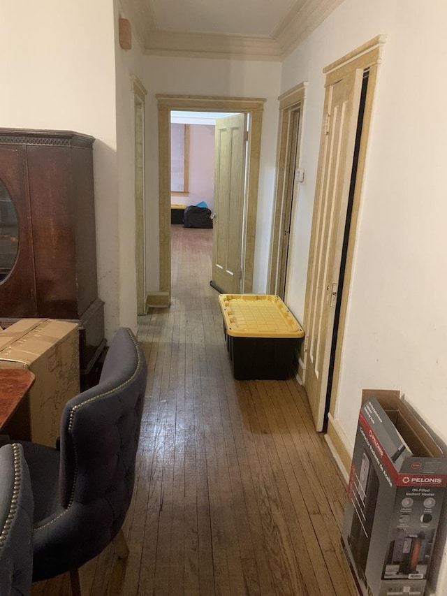 hallway featuring wood-type flooring and crown molding