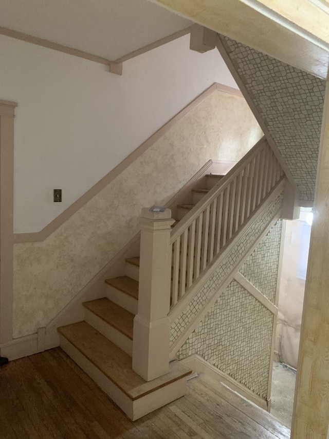 staircase featuring wood finished floors