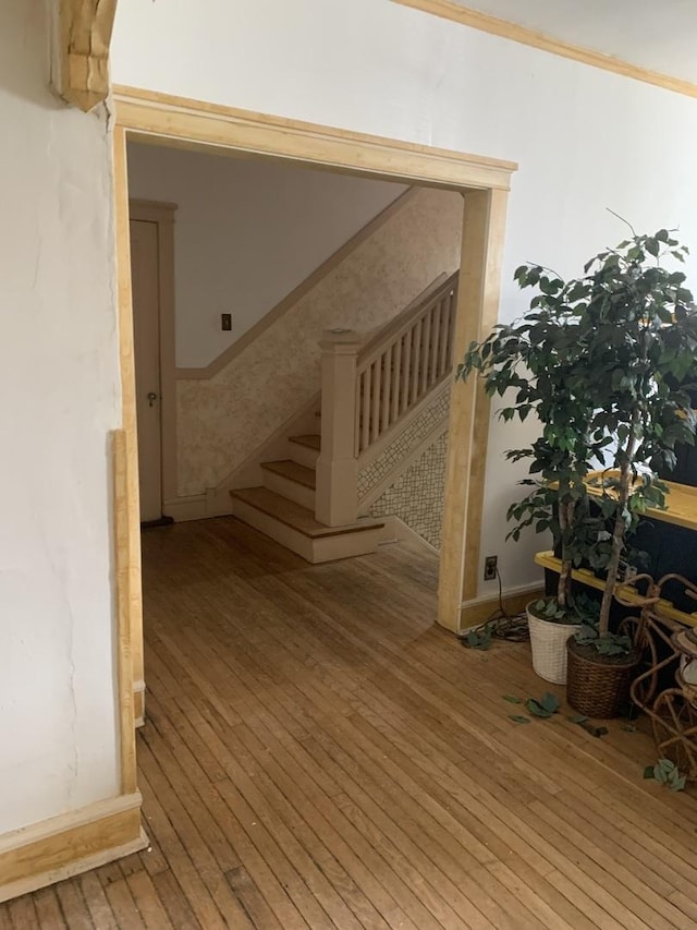 stairway with wood-type flooring