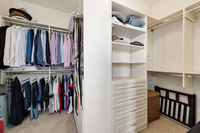 spacious closet featuring light colored carpet