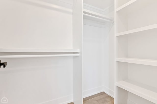 walk in closet with light wood-style floors