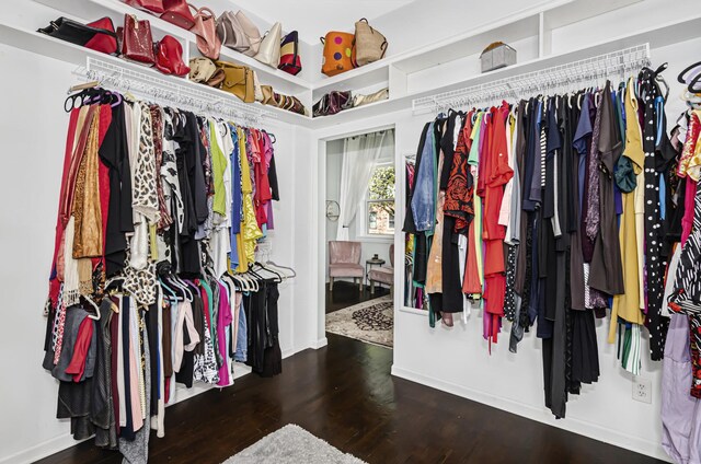 spacious closet featuring dark wood finished floors