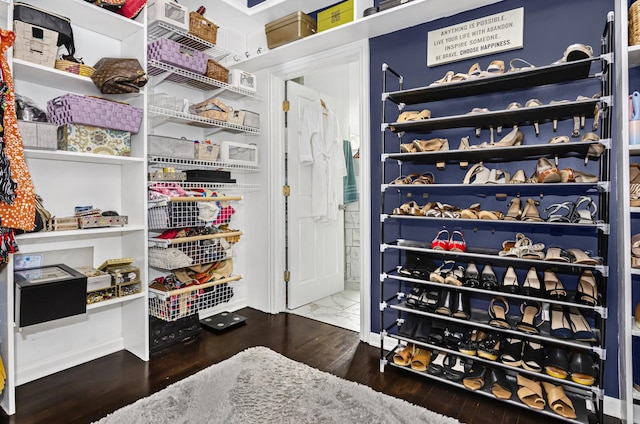 walk in closet featuring wood finished floors