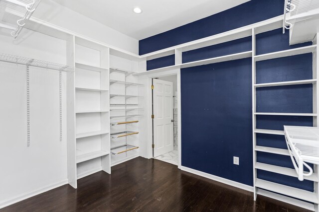 walk in closet featuring wood finished floors