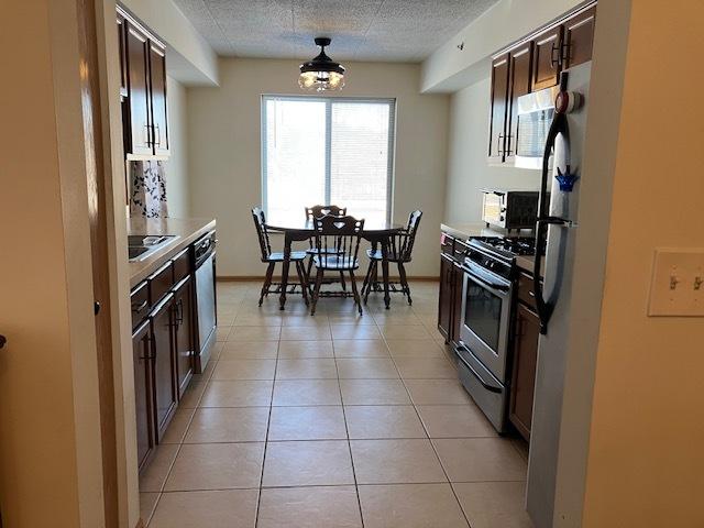 kitchen featuring dark brown cabinetry, stainless steel appliances, and light countertops