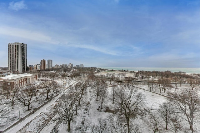 snowy aerial view with a view of city