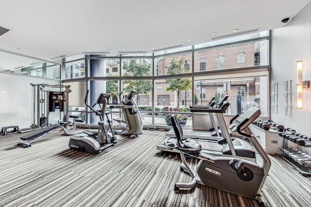 workout area with carpet floors, a high ceiling, and floor to ceiling windows