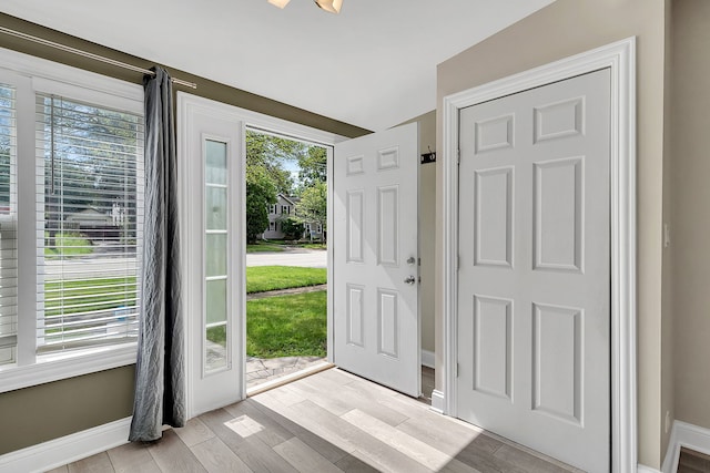 entrance foyer with plenty of natural light, wood tiled floor, and baseboards