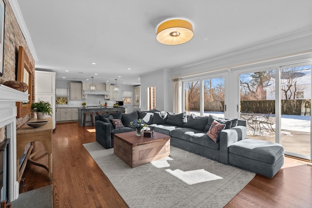 living area with ornamental molding, dark wood-type flooring, a fireplace, and a wealth of natural light
