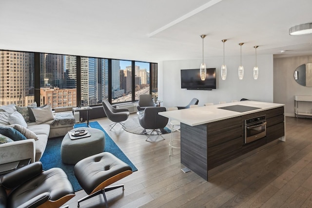 interior space with wood finished floors, stainless steel oven, open floor plan, light countertops, and modern cabinets