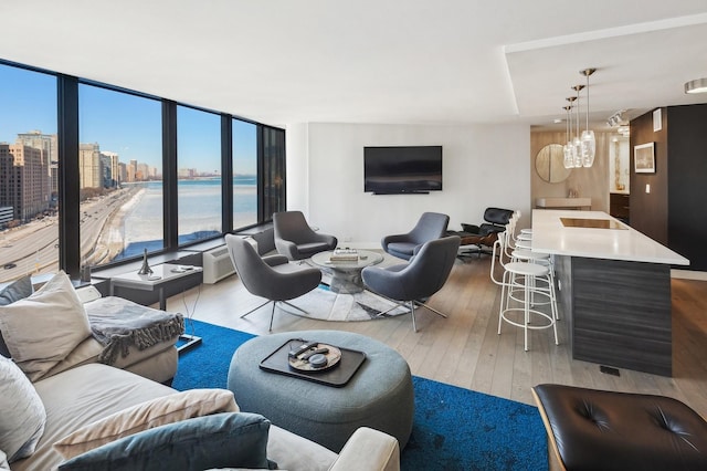 living area featuring light wood-type flooring and a city view