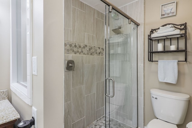 full bathroom with toilet and a shower stall