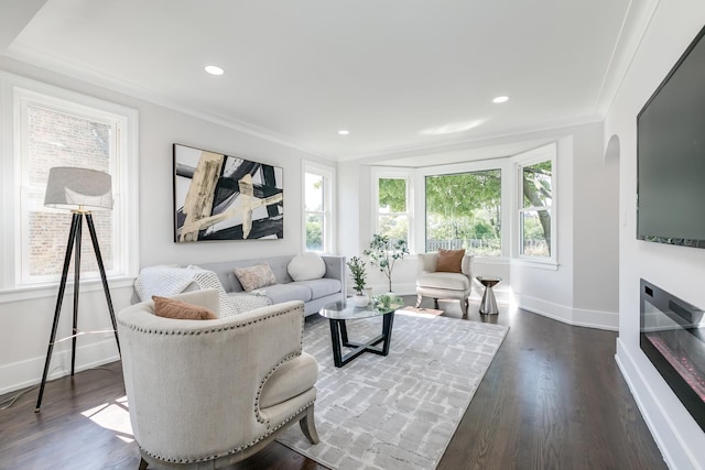 living area featuring ornamental molding, recessed lighting, dark wood-style flooring, and baseboards