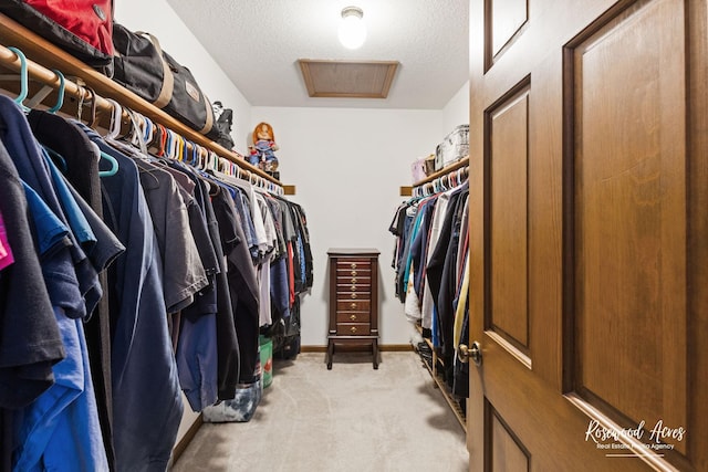 330 Fox Trl, Bourbonnais, IL 60914 - walk in closet featuring light colored carpet