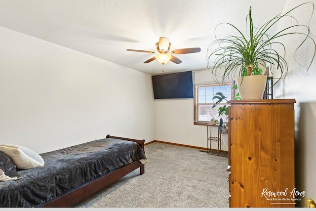 330 Fox Trl, Bourbonnais, IL 60914 - bedroom with carpet flooring and baseboards