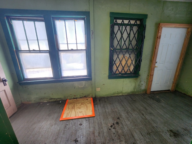 foyer entrance with wood finished floors and a healthy amount of sunlight