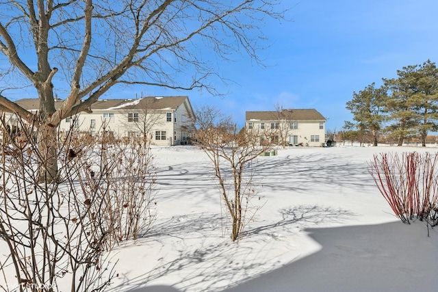 view of yard layered in snow