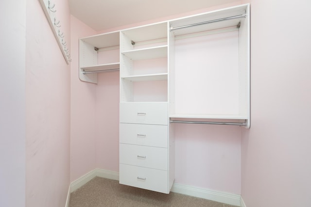 spacious closet featuring carpet