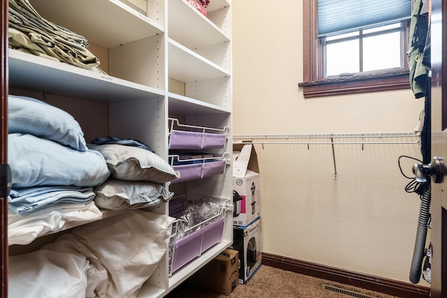 walk in closet featuring carpet floors