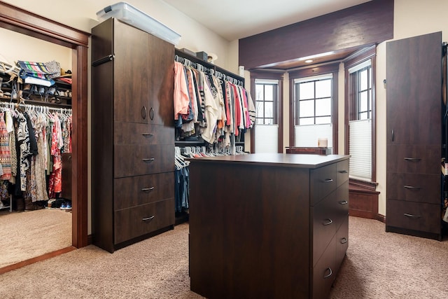 spacious closet with light colored carpet