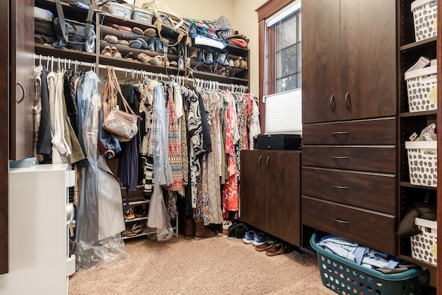 walk in closet with carpet floors