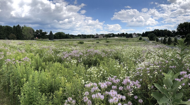 view of nature with a rural view