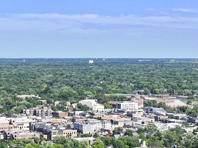 103 S Webster St, Naperville, IL 60540 - aerial view of a heavily wooded area