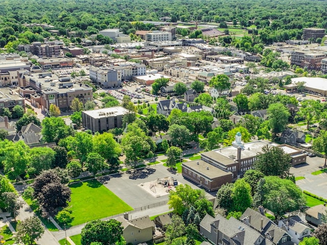 103 S Webster St, Naperville, IL 60540 - bird's eye view