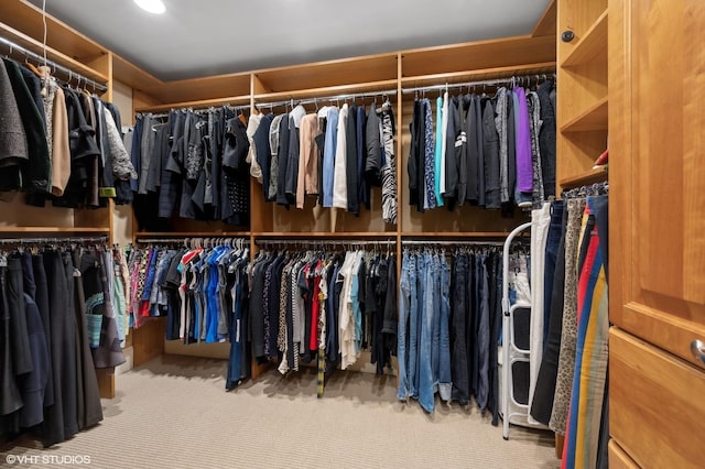 spacious closet featuring light carpet