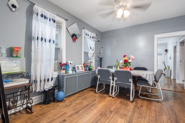 dining room featuring radiator, ceiling fan, and wood finished floors