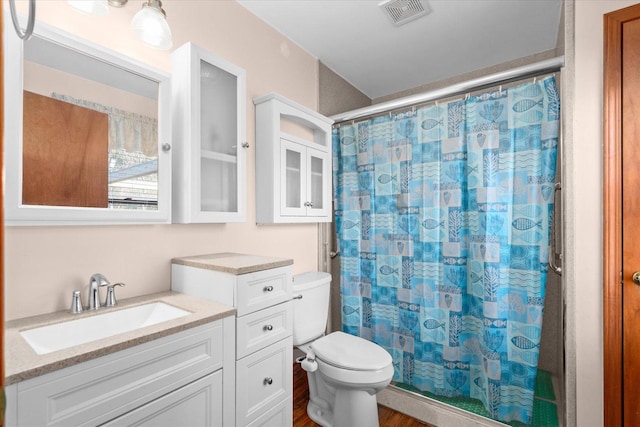 4461 N Il State Route 23, Leland, IL 60531 - bathroom with visible vents, vanity, toilet, and a shower with shower curtain