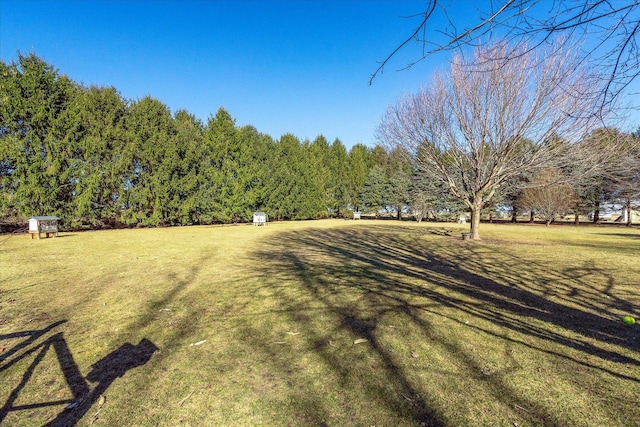 4461 N Il State Route 23, Leland, IL 60531 - view of yard