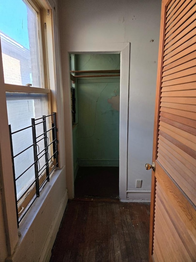 hallway featuring dark wood-style floors