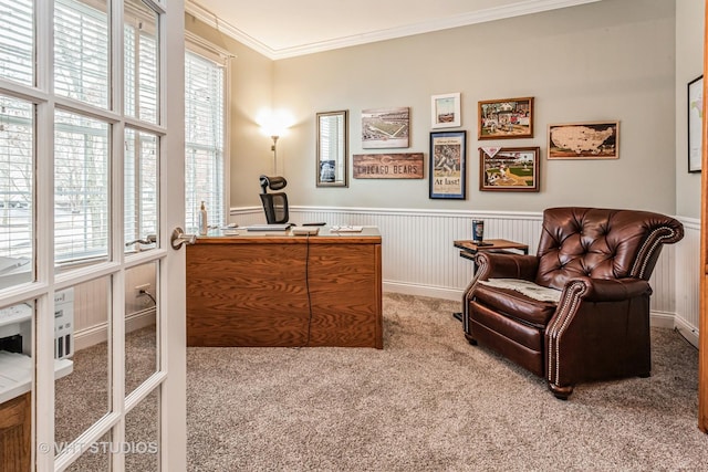 office with a wainscoted wall, carpet flooring, and ornamental molding