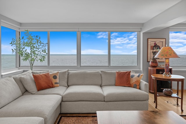 living area with a healthy amount of sunlight, a water view, and wood finished floors