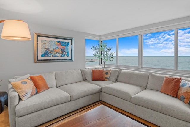 living room featuring a water view, a wealth of natural light, and wood finished floors