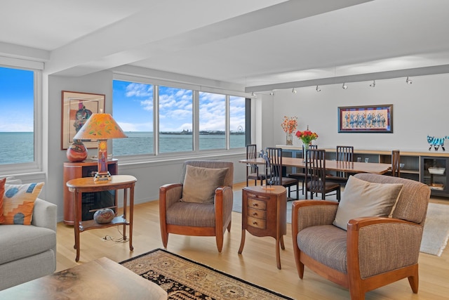 living area with a water view, light wood-style flooring, and baseboards