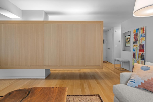 living room featuring light wood finished floors