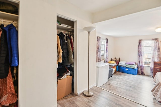 bedroom featuring a closet, multiple windows, and wood finished floors