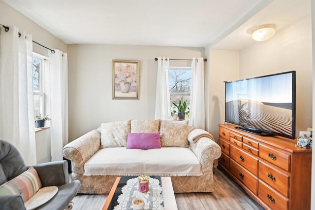 living room featuring light wood-type flooring