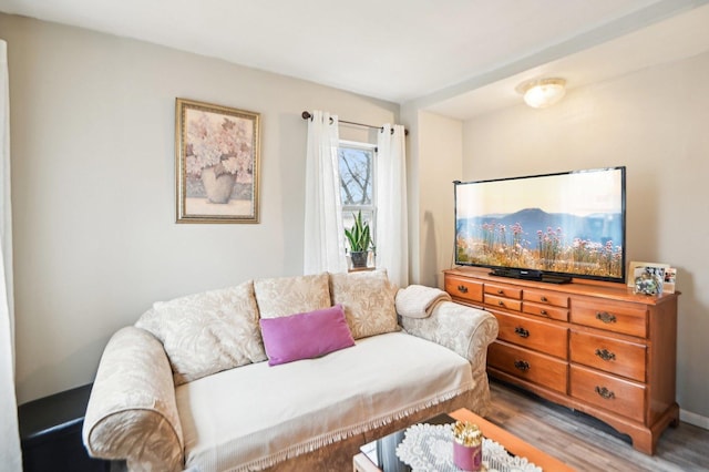 living area featuring wood finished floors